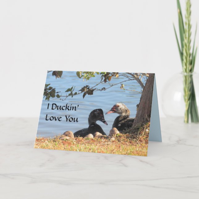 Muscovy Ducks - Valentine's Day Card (Front)