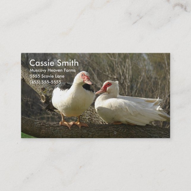 Muscovy Heaven Farms Business Card (Front)
