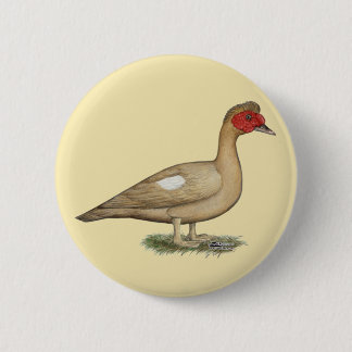 Muscovy Light Chocolate Drake Button
