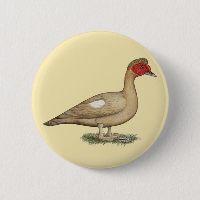 Muscovy Light Chocolate Drake Button (Front)