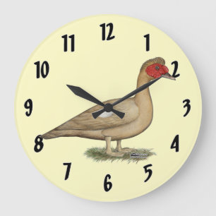 Muscovy Light Chocolate Drake Large Clock