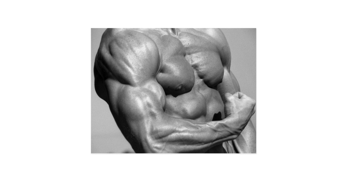 muscular-chest-postcard-zazzle