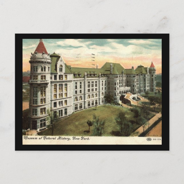 Museum of Natural History, New York City 1910 Vint Postcard (Front)