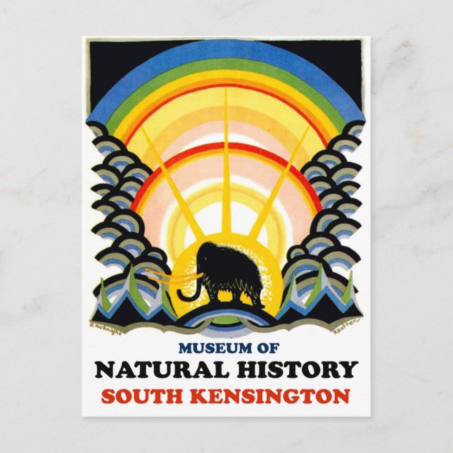 Museum of Natural history, South Kensington Postcard (Front)