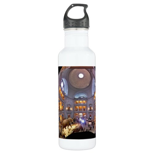 Museum of Natural History Stainless Steel Water Bottle