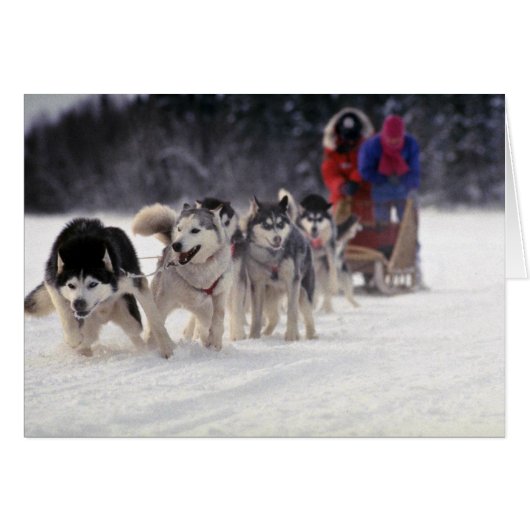 Mush (Front Horizontal)