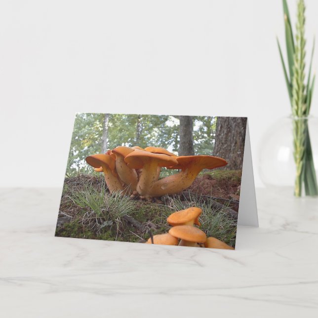 Mushroom13 Card (Front)