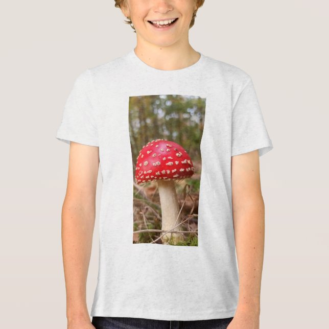 Mushroom 11 Tri-Blend shirt (Front)