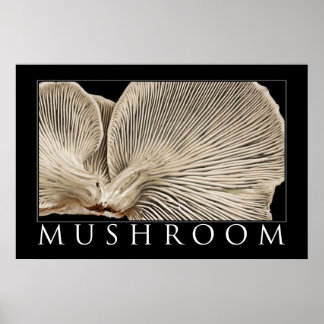 Mushroom 2 poster