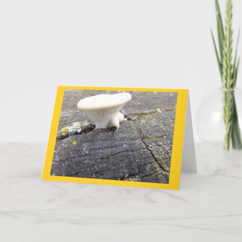 Mushroom and Lichen in Wisconsin Blank Note Card