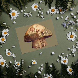 Mushroom book vintage paper decouapge