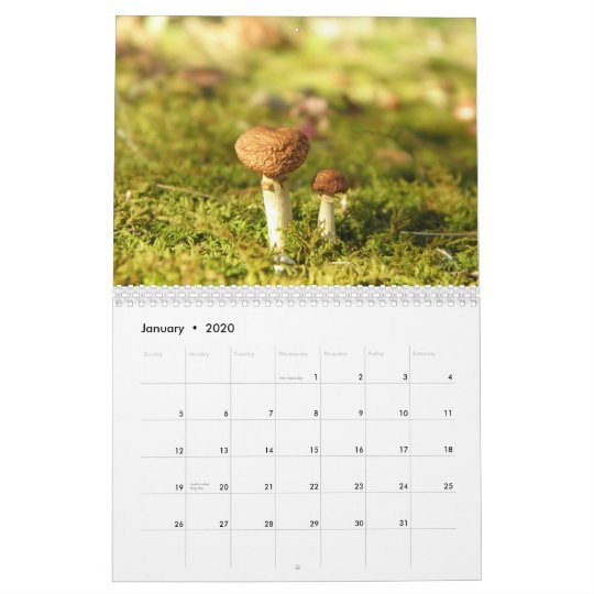 Mushroom Calendar