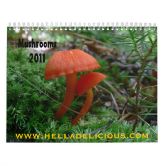 Mushroom Calendar 