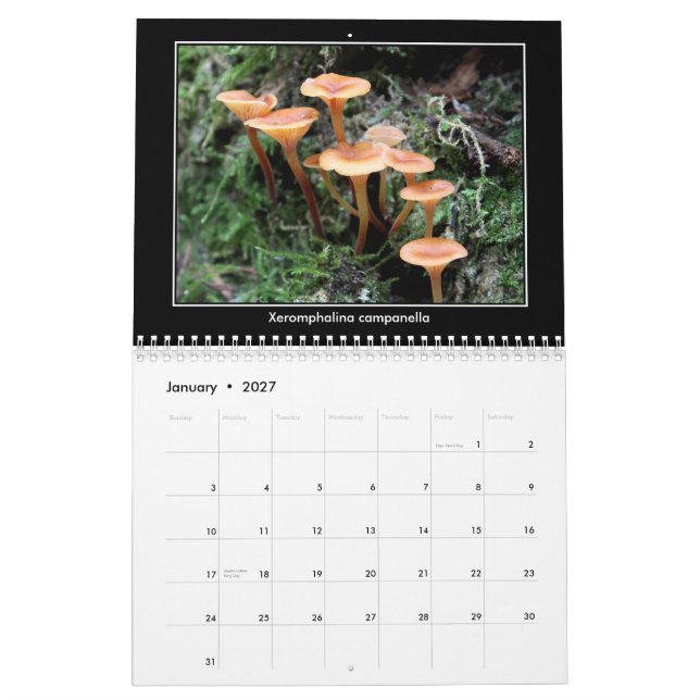 Mushroom Calendar (Jan 2027)