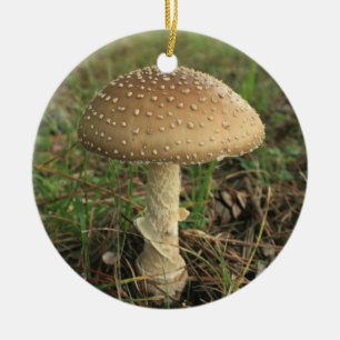 Mushroom Ceramic Ornament