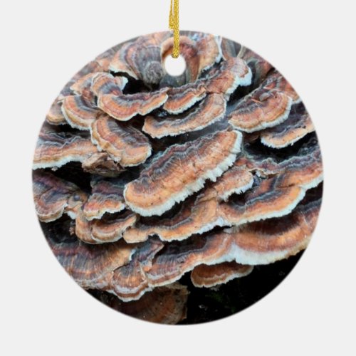 Mushroom Christmas Ornament