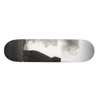 Mushroom Skateboard Decks | Zazzle