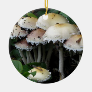 Mushroom Cluster - Photograph Ceramic Ornament