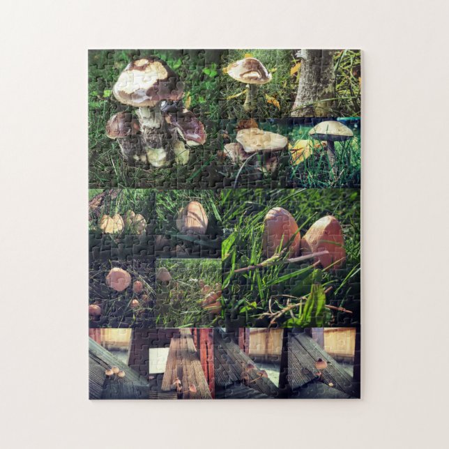 Mushroom Collage Jigsaw Puzzle (Vertical)