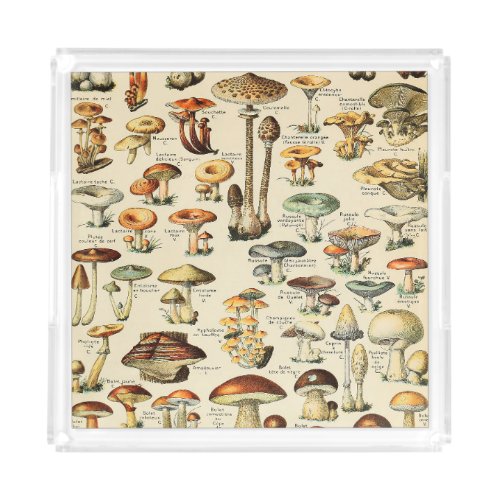 Mushroom Collection    Acrylic Tray