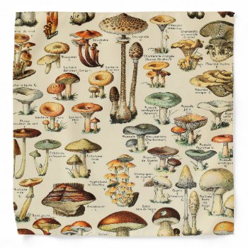Mushroom Collection Bandana by colorfulworld at Zazzle