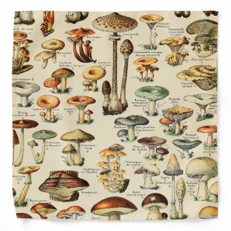 Mushroom Collection Bandana