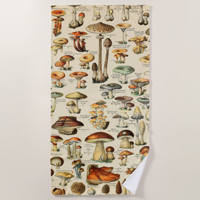 Mushroom Collection     Beach Towel (Front)