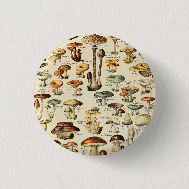 Mushroom Collection  Button (Front)