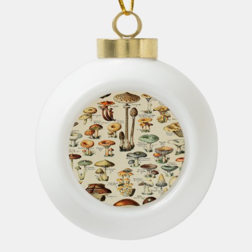 Mushroom Collection     Ceramic Ball Christmas Ornament