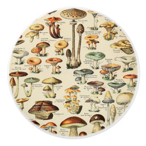 Mushroom Collection   Ceramic Knob