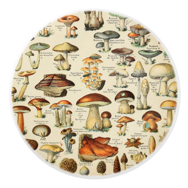 Mushroom Collection    Ceramic Knob (Front)
