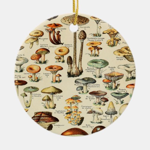 Mushroom Collection   Ceramic Ornament