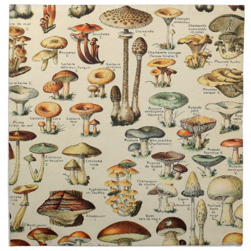Mushroom Collection   Cloth Napkin