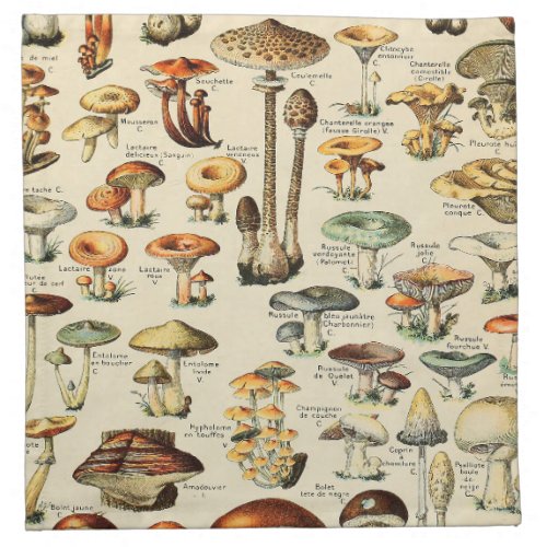 Mushroom Collection   Cloth Napkin