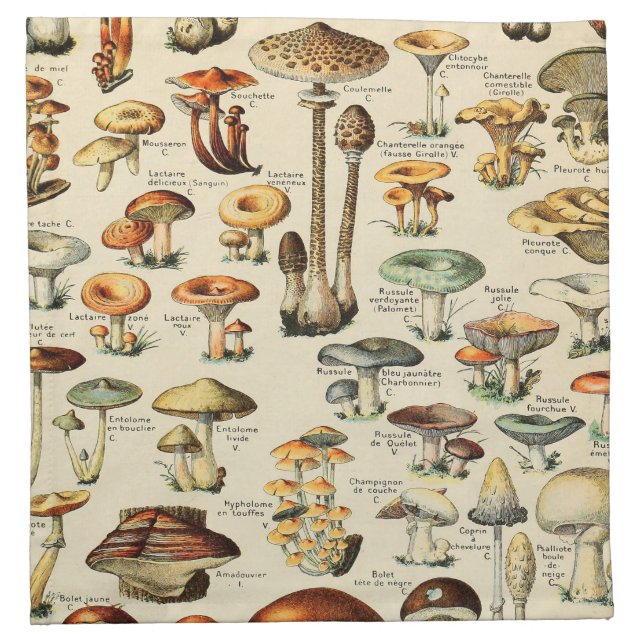 Mushroom Collection   Cloth Napkin (Front)