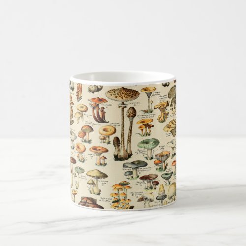 Mushroom Collection  Coffee Mug