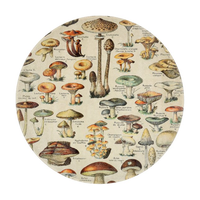Mushroom Collection   Cutting Board (Front)