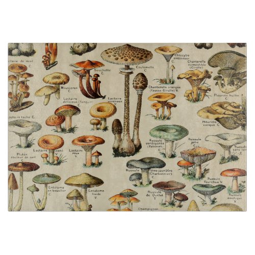 Mushroom Collection    Cutting Board