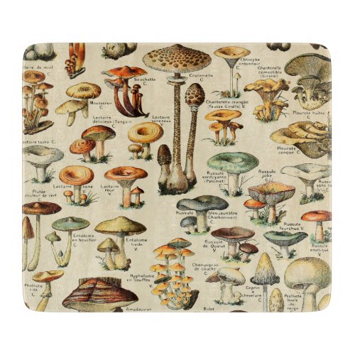 Mushroom Collection    Cutting Board