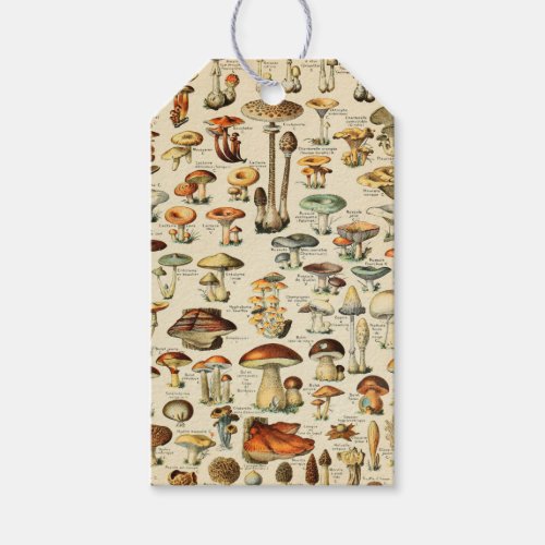 Mushroom Collection  Gift Tags