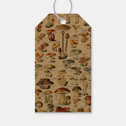 Mushroom Collection Gift Tags