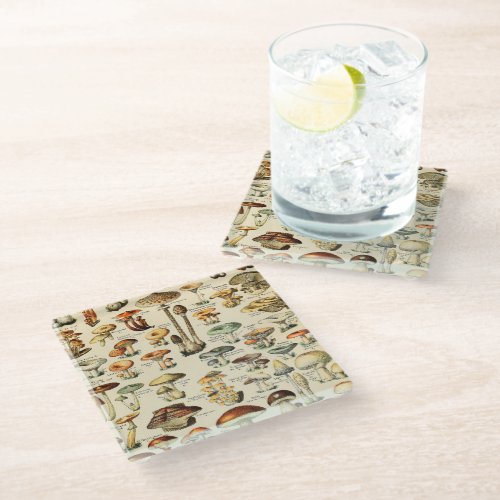 Mushroom Collection   Glass Coaster