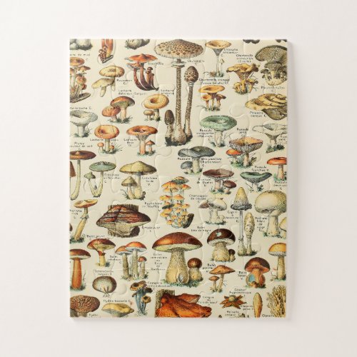 Mushroom Collection Jigsaw Puzzle