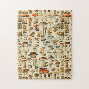 Mushroom Collection   Jigsaw Puzzle