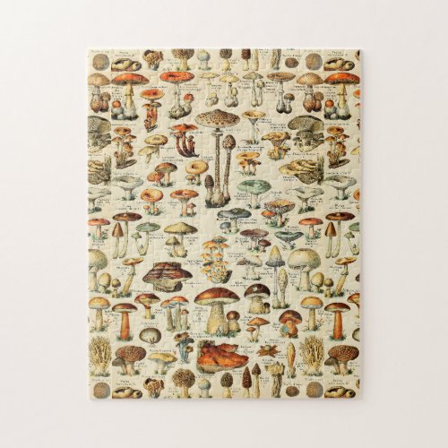 Mushroom Collection   Jigsaw Puzzle