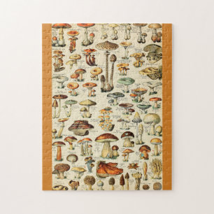 Mushroom Collection Jigsaw Puzzle