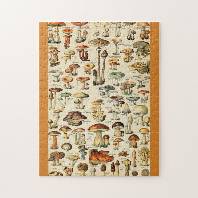 Mushroom Collection Jigsaw Puzzle (Vertical)