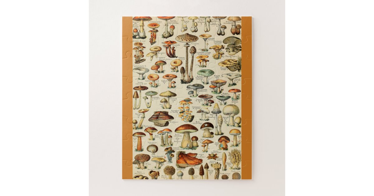 Mushroom Collection Jigsaw Puzzle | Zazzle