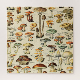 Mushroom Collection Jigsaw Puzzle