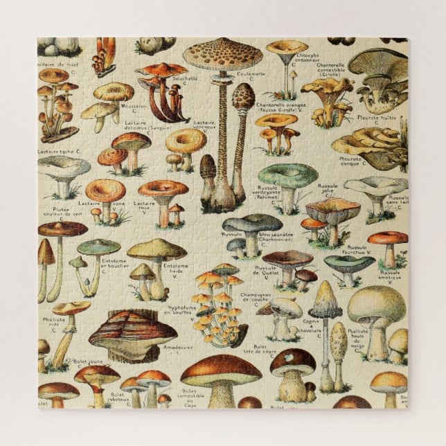 Mushroom Collection Jigsaw Puzzle (Vertical)